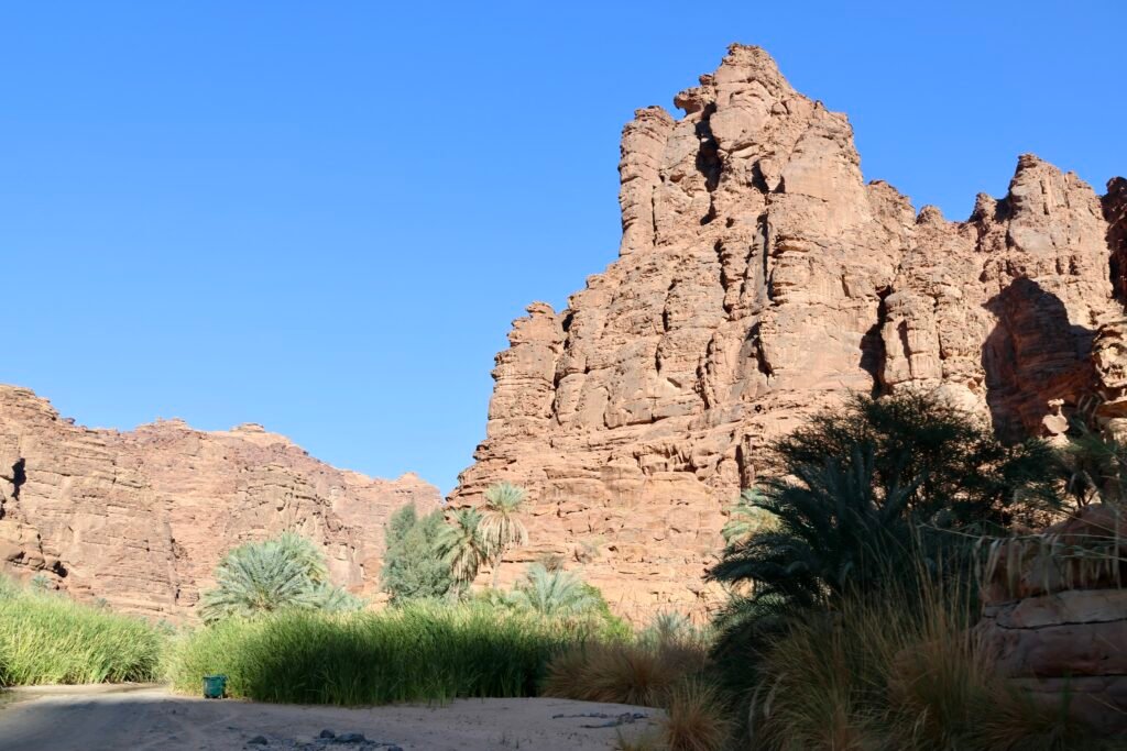 saoedi arabië 2025 11 06 (121)